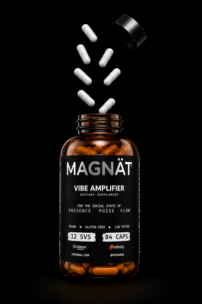 MAGNÄT Vibe Amplifier