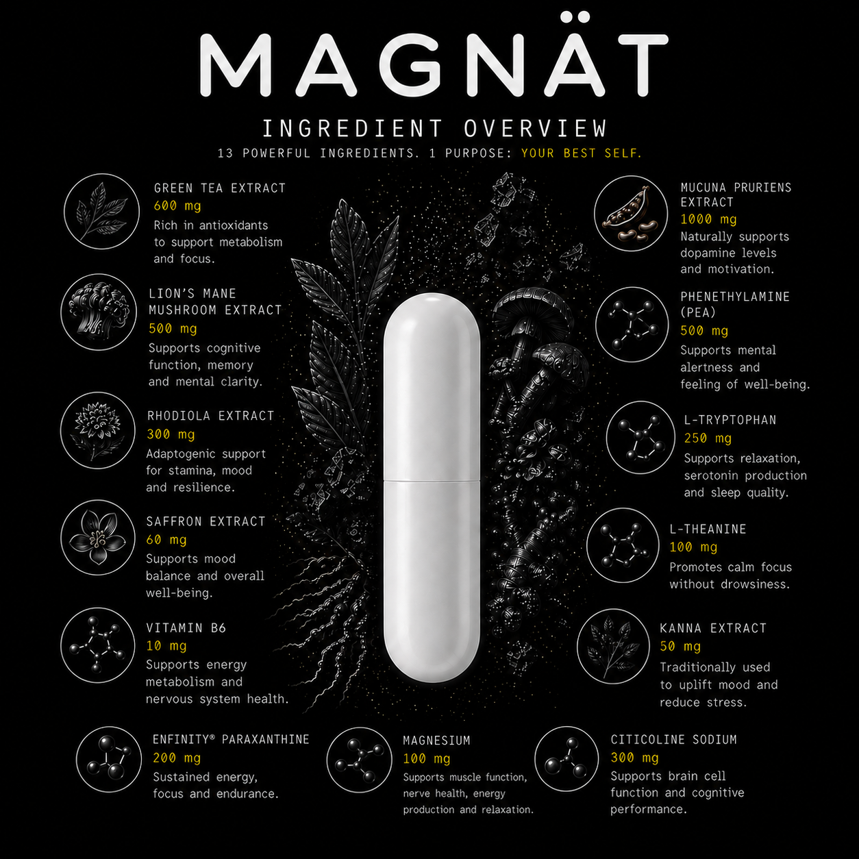 MAGNÄT Vibe Amplifier