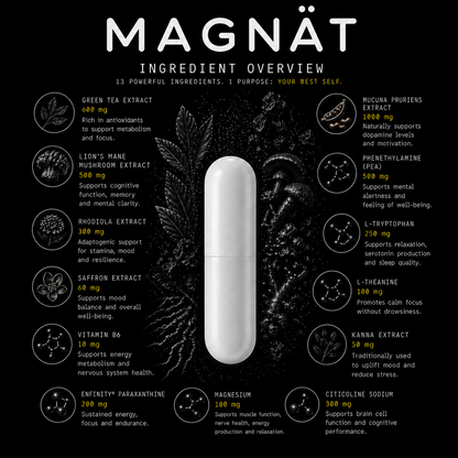 MAGNÄT Vibe Amplifier